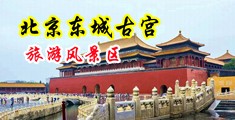 用丝袜搞鸡巴艹逼白丝中国北京-东城古宫旅游风景区