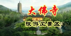 大鸡巴想要鸡巴插逼逼中国浙江-新昌大佛寺旅游风景区